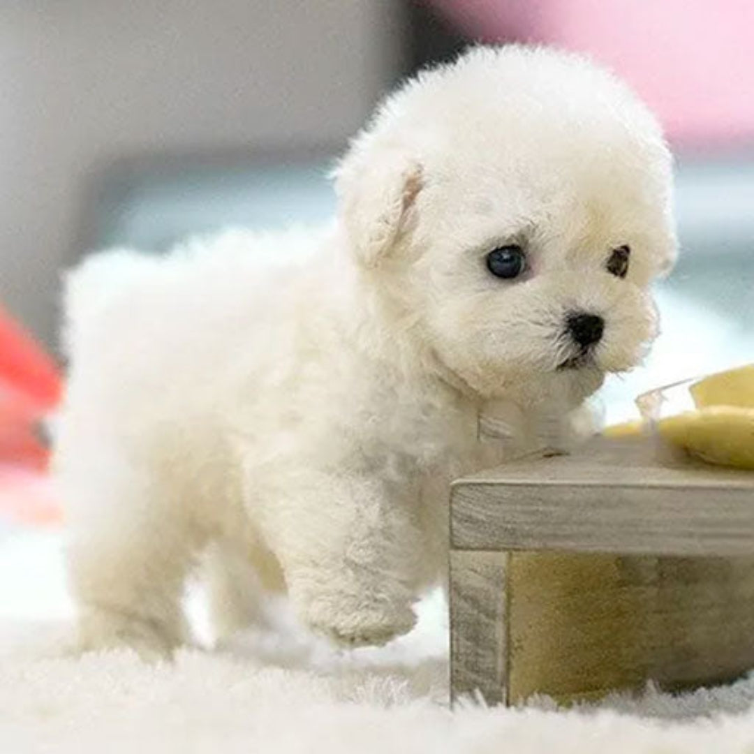 Realistic Electronic Puppy Plush Toy