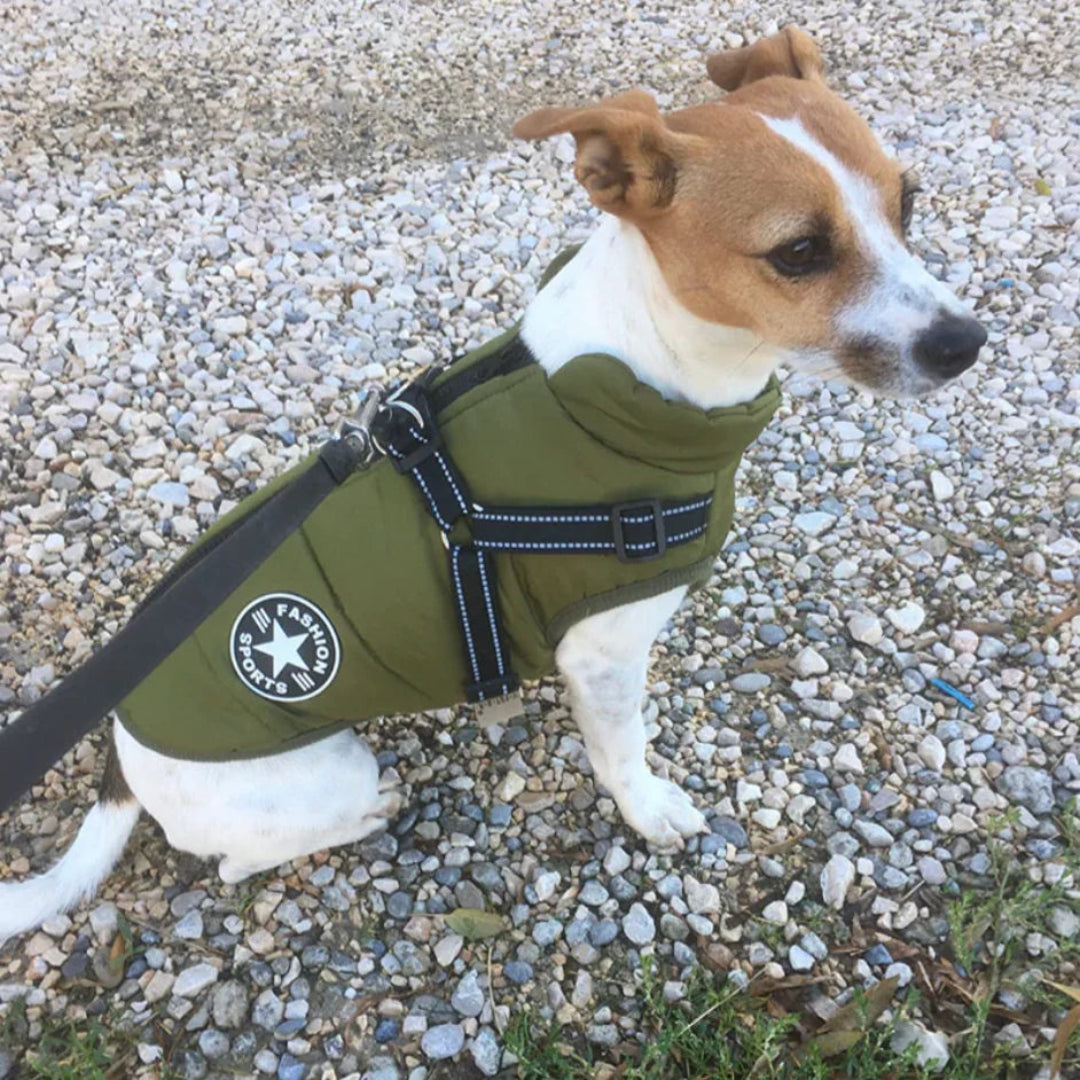 Soft and Waterproof Dog Vest