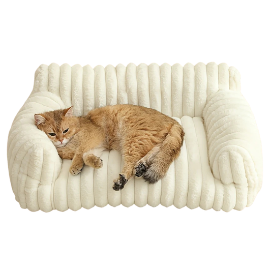 Lit pour Chat Orthopédique et Confortable - Marcherelle