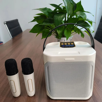 Powerful Portable Bluetooth Speaker with Karaoke Function