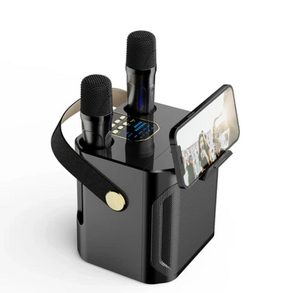 Powerful Portable Bluetooth Speaker with Karaoke Function