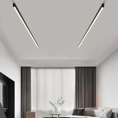 Adjustable Elegant Ceiling Light Fixture