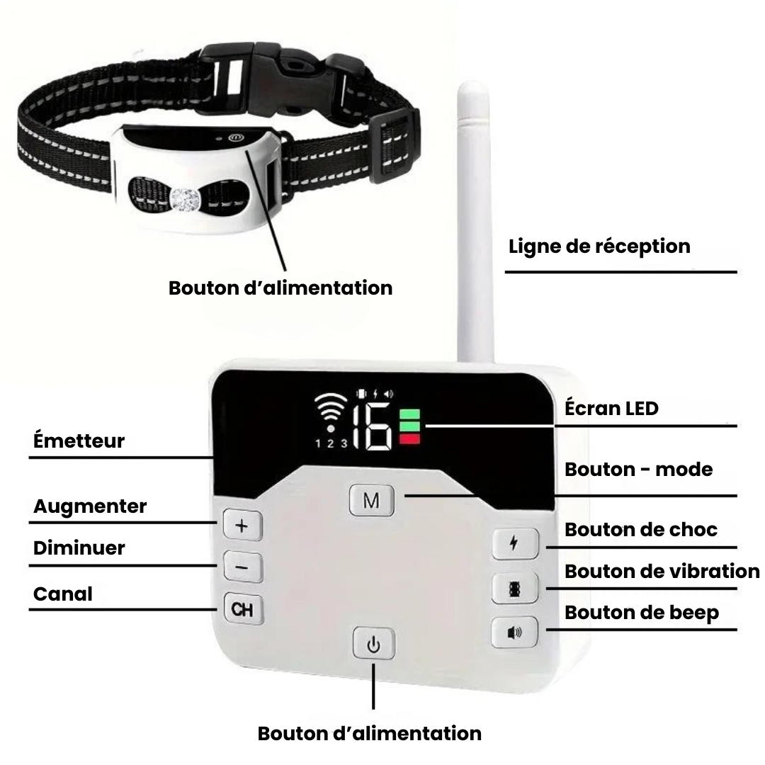 Marcherelle™ – Collier Electrique de Dressage pour Chien avec Zone de Sécurité Réglable