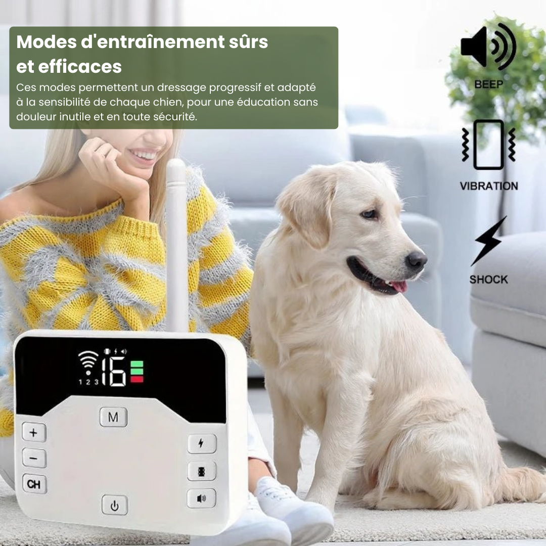 Marcherelle™ – Collier Electrique de Dressage pour Chien avec Zone de Sécurité Réglable