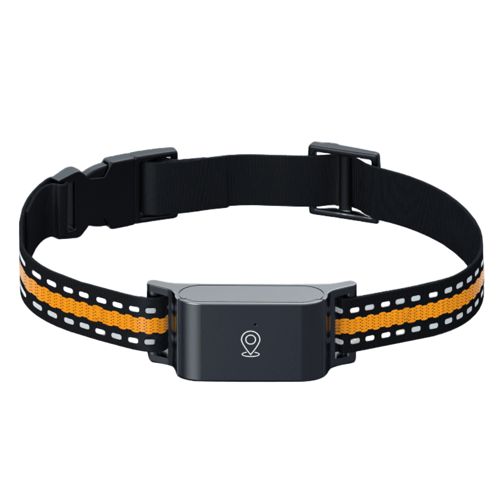 Marcherelle™ – Collier GPS Chat Sans Abonnement Suivi Précis & Illimité