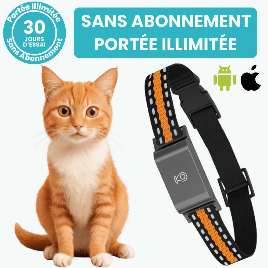 Marcherelle™ – Collier GPS Chat Sans Abonnement Suivi Précis & Illimité