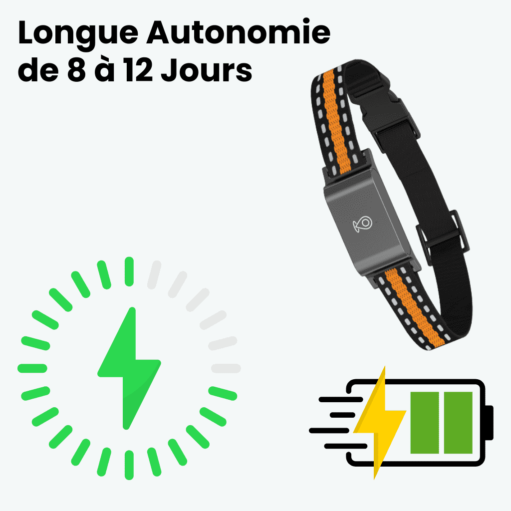 Marcherelle™ – Collier GPS Chat Sans Abonnement avec Suivi Précis, Portée Illimitée