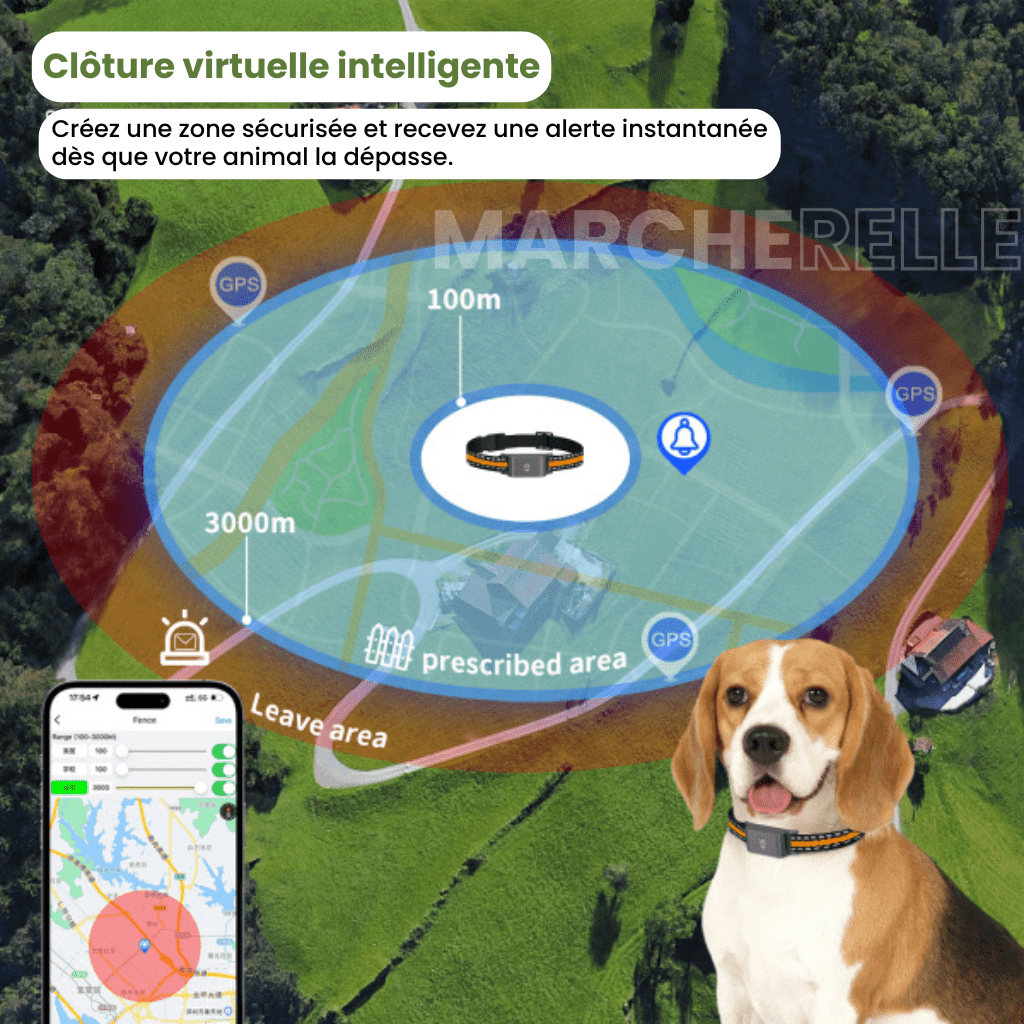 Marcherelle™ – Collier GPS Chien Sans Abonnement, Suivi en Temps Réel