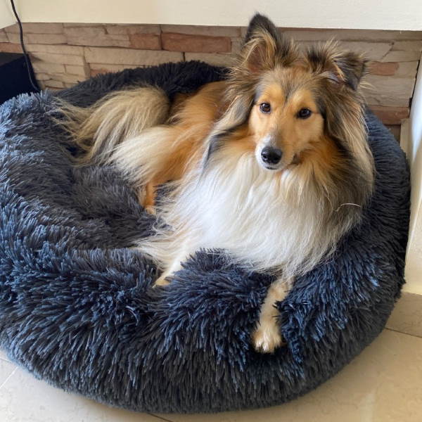 Cozy Cushion for Dog - Washable Dog Bed