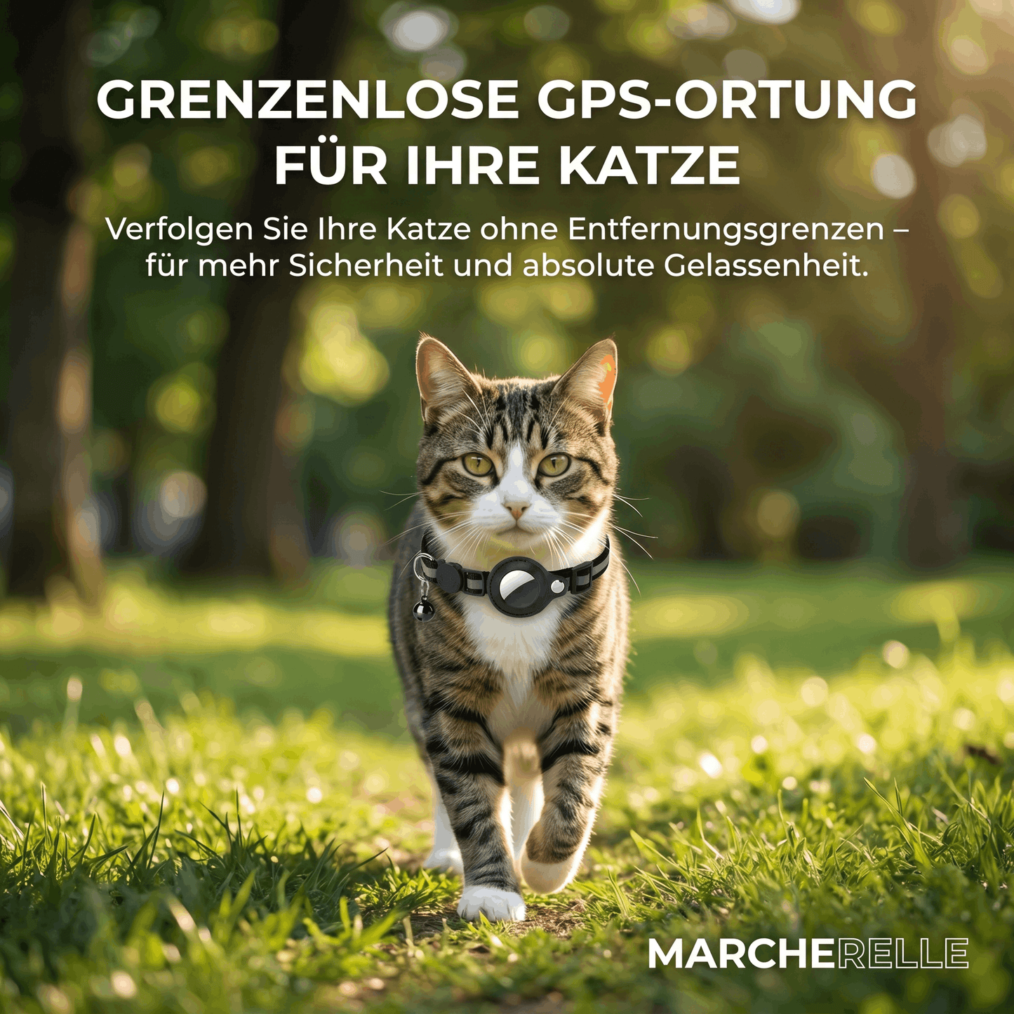 Macherelle™ – GPS Collar for Cats No Subscription | Compatible with iOS & Android